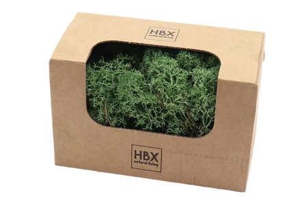 Rendier mos 50g groen