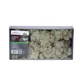 RENDIERMOS NATUREL 500G geverfd en gepreserveerd. - afbeelding 2