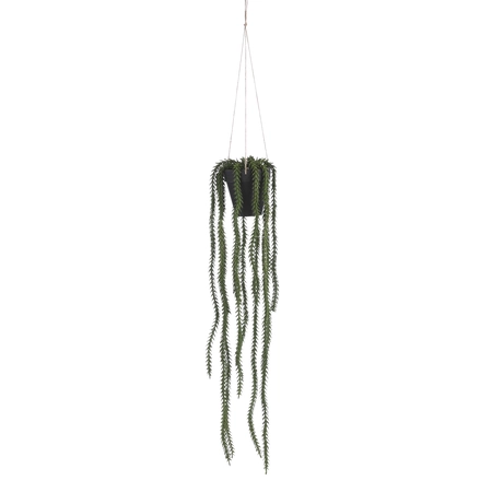 Rhipsalis hangend in pot groen - l62xd12cm
