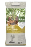 RHP Palmengrond 10L - afbeelding 2