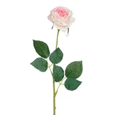 Roos diamant l.roze - l52cm 107553 lt.pink01