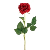 Roos diamant rood - l52cm 107553 red01