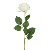 Roos diamant wit - l52cm 107553 cream02