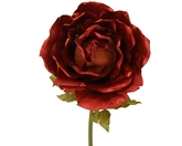 Roos pes fluweel d50b50h135cm rood