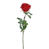 Roos rood - l69cm