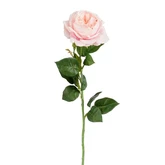 Roos roze Real Touch - l68cm