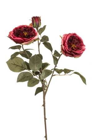 Rose spray beauty 58cm