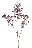 Rosehip mini spray x3 purple 95cm