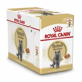 ROYAL CANIN® British Shorthair Adult Wet 12x85g