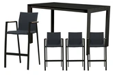 Royal seasons® Detroit/Noordwijk barset zwart voor 4 personen