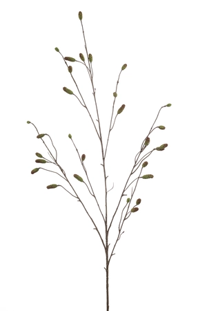 Sanguisorba spray green 110cm