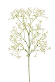 Saxifraga flower spray cream 63cm