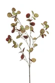 Saxifraga spray burgundy/green 85cm