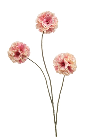 Scabiosa spray peach 74cm