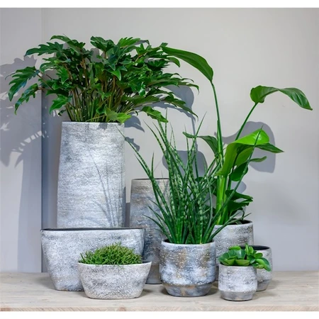 Schaal Coimbra d27/29h14cm grijs - afbeelding 2