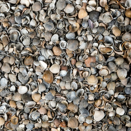 Schelpen bruin/grijs 20kg