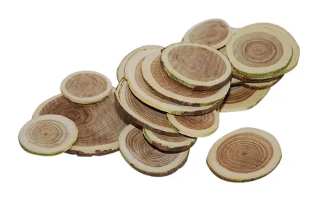Schijf berk d3-6cm naturel 250g