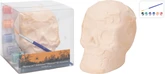 Schilderset Doodshoofd Halloween - afbeelding 1