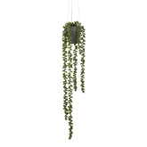 Senecio hangend groen - l56xd9cm