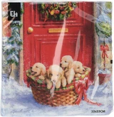 Servetten 33X33cm 16Sts 3A - afbeelding 3