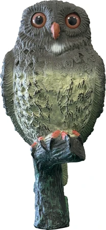Superfish Deco Vogel Kleine Uil