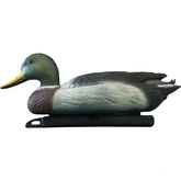 SF DECO WILDE EEND MAN