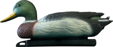 Superfish Deco Wilde Eend Man