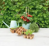 SOGO Biologische Potjes 4x4cm 6 strips à 6st. - afbeelding 5