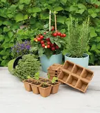 SOGO Biologische Potjes 6x6cm 5 strips à 6st. - afbeelding 5