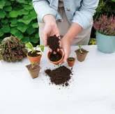 SOGO Biologische Zaai en Stekgrond 5l - afbeelding 2