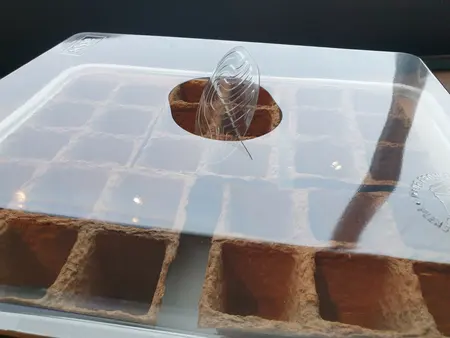 SOGO Eco kweekkas incl. 30 kweekpotjes - afbeelding 1