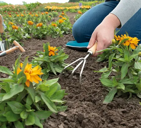 SOGO Handharkje 3-tands roestvrijstaal - afbeelding 4