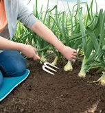 SOGO Handvork roestvrijstaal - afbeelding 4