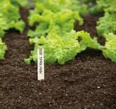 SOGO Houten steeketiket 10cm 24st - afbeelding 4