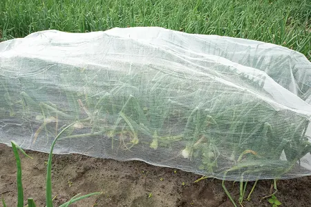 SOGO Klimaatdoek 2x5m - afbeelding 4