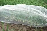 SOGO Klimaatdoek 2x5m - afbeelding 4