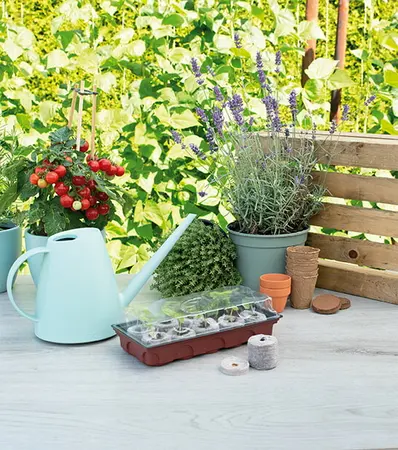 SOGO Kweekkas incl. 10 aardetabletten - afbeelding 4