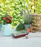 SOGO Kweekkas incl. 10 aardetabletten - afbeelding 4