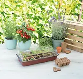 SOGO Kweekkas incl. 18 kweekpotjes - afbeelding 3