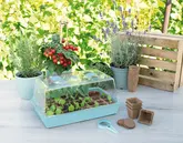 SOGO Kweekkas incl. beluchting 38x24cm - afbeelding 2