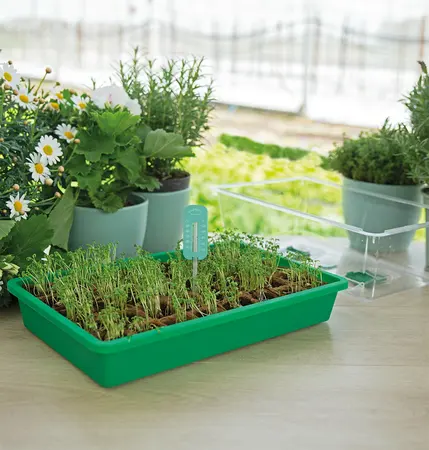 SOGO Kweekkas Thermometer - afbeelding 3