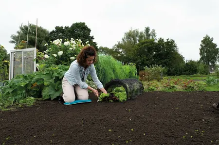 SOGO Kweektunnel zwart gaasnet - afbeelding 4