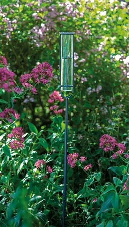 SOGO Regenmeter Glas op pin - afbeelding 2