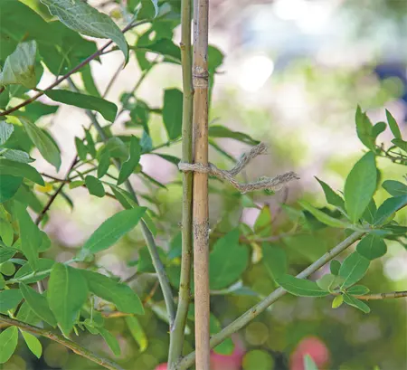 SOGO Twist draad 5m - afbeelding 3