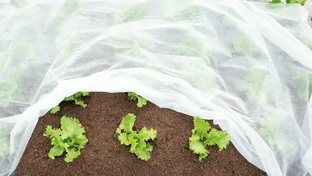 SOGO Vliesdoek 1.5x10m - afbeelding 5