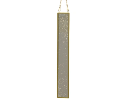 Spiegel glas L3b0.50h10cm goud