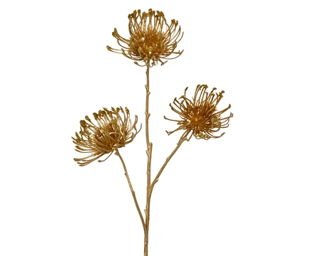 Spray pe L24b22h75cm goud