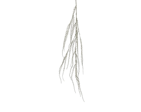 Spray plastic L20b6h140cm champagne