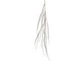 Spray plastic L20b6h140cm champagne
