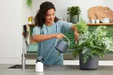 sprayer b.for soft 0.6ltr wit - afbeelding 3